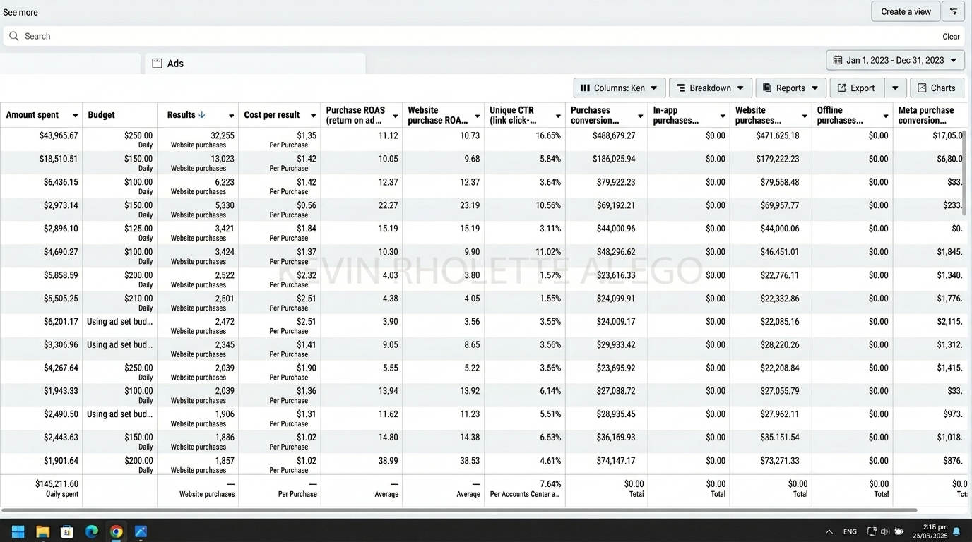 International Campaign, USA ads manager result